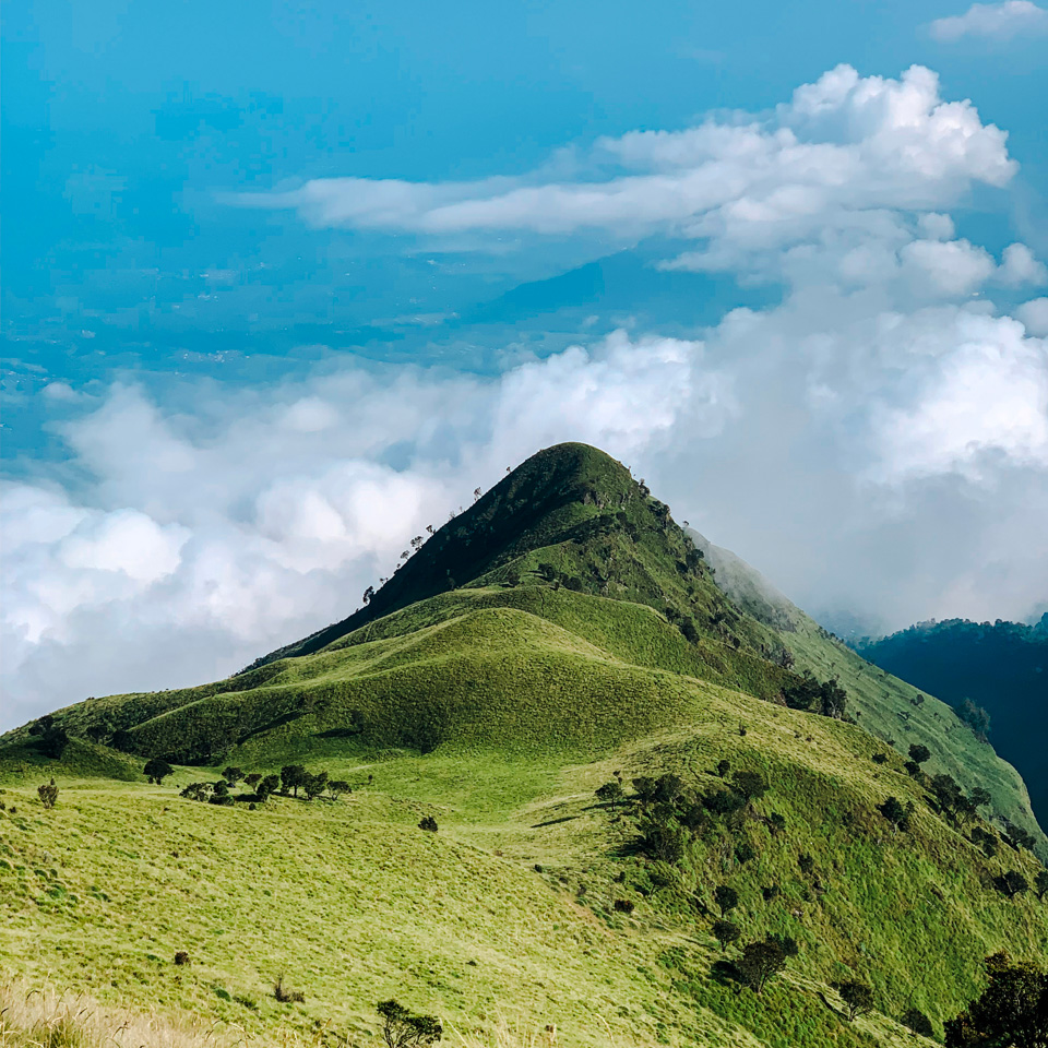 open trip merbabu